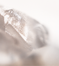 Chromium picolinate