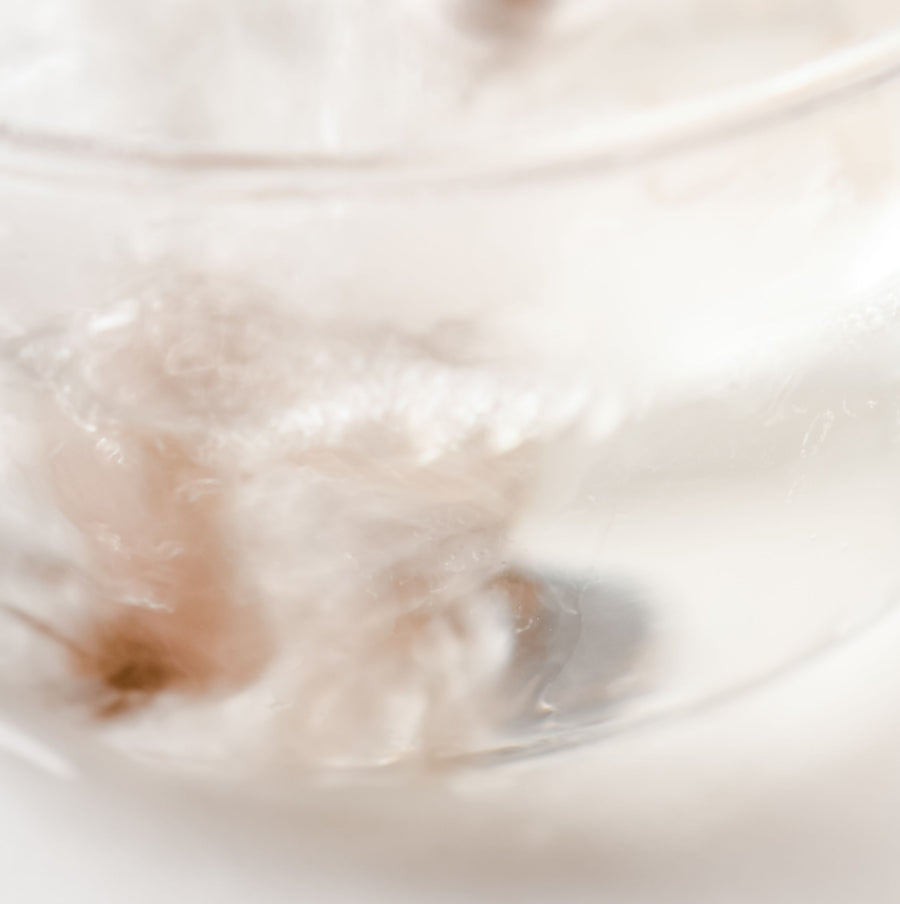 A close-up of a clear glass teapot or cup with a handle, shown on a white background with soft-focus light filtering through the transparent material.