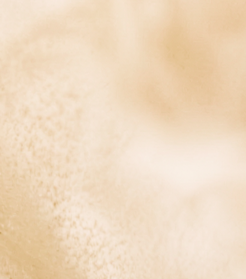 A close-up of a soft, textured beige surface with a warm, slightly mottled tone.